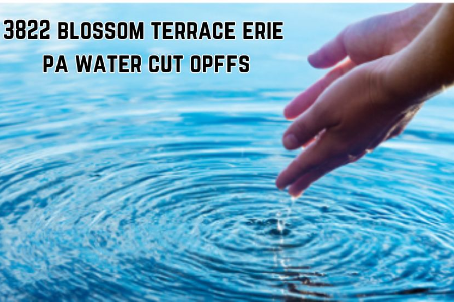 Quick Fix: How to Turn Off Water at 3822 Blossom Terrace, Erie, PA